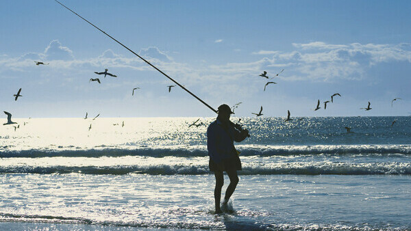 Mullet Fishing Tourism and Events Queensland