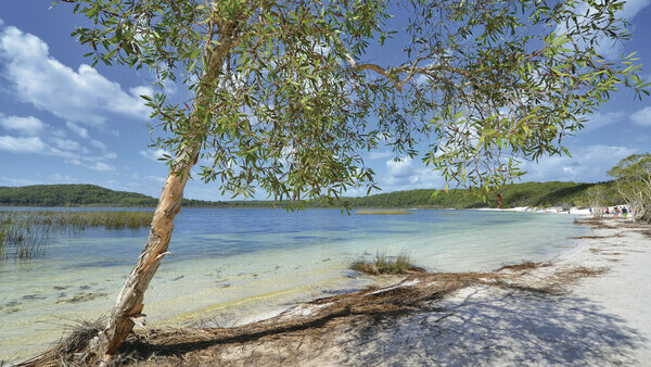Lake Birrabeen3 Tourism and Events Queensland