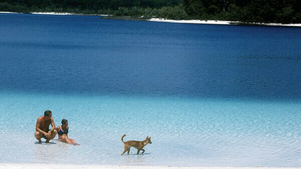 Lake McKenzie  Tourism and Events Queensland