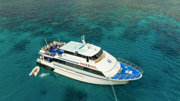 Тур на Большой Барьерный Риф с русским гидом