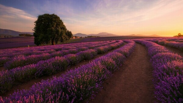 Панорамный тур по Восточному побережью Тасмании -4 дня