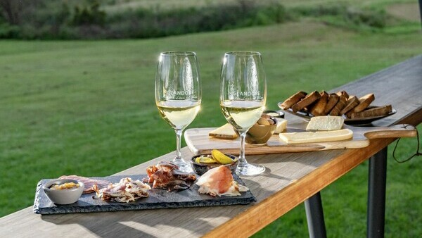 тестирование вина