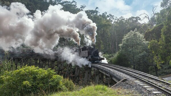 Экскурсия в Мельбурне с русским гидом 'Предгорье Данденонга с винодельнями или Парком Животных'