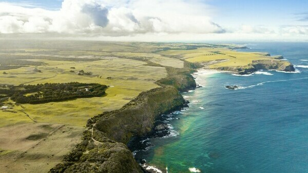 Виноградники полуострова Морнингтон. Экскурсия в Мельбурне с русскоговорящим гидом