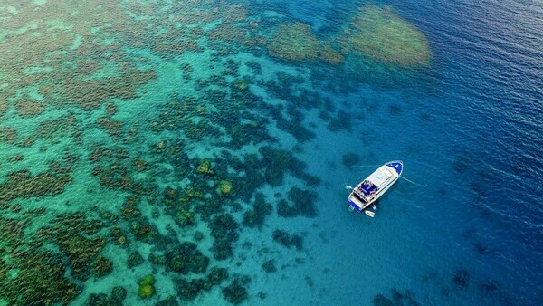 Экскурсия в Кэрнсе на Большой Барьерный Риф 'Круиз на Зеленый Остров'