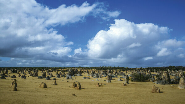 The Pinnacles, Nambung National Park Tourism Western Australia