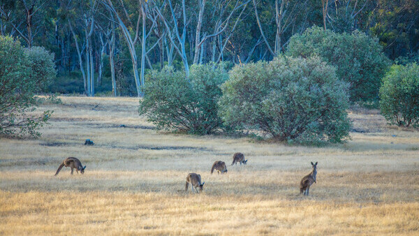 Tourism Western Australia