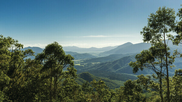 Авторский двухдневный тур в Кэрнсе: Экзотика северных тропиков