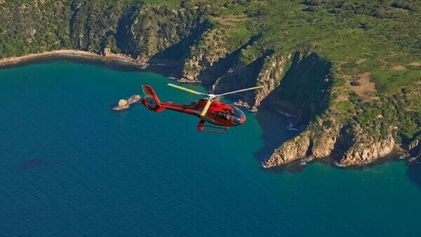 Phillip Island Nature Park
